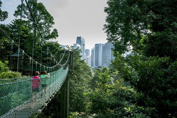 People walking on the bridge