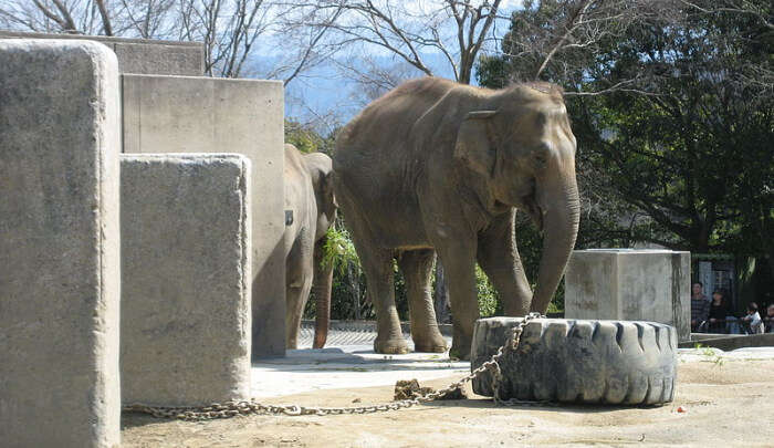 Tobe Zoological Park