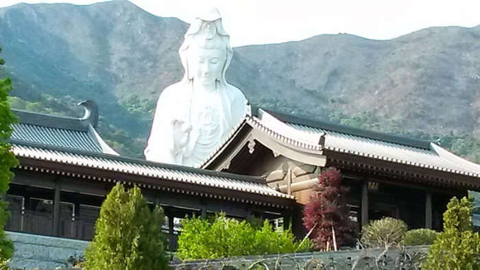 Tsz Shan Monastery- Visit