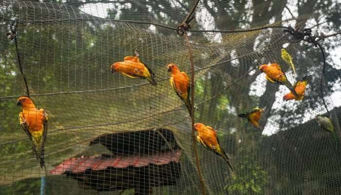 Visit Klcc Bird Park