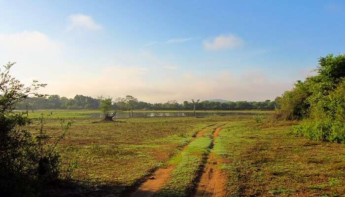 Wasgumawa National Park