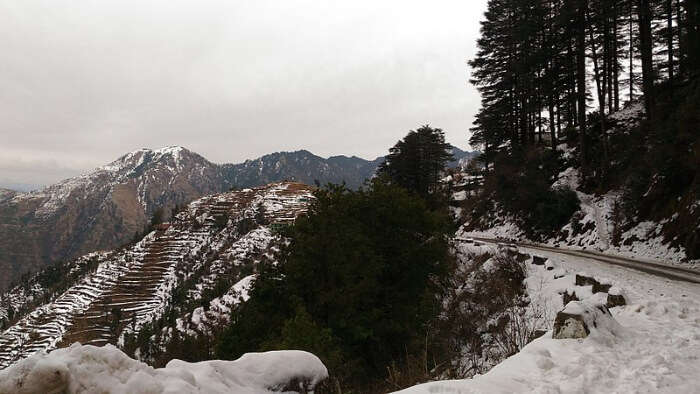 Weather In Mussoorie In December