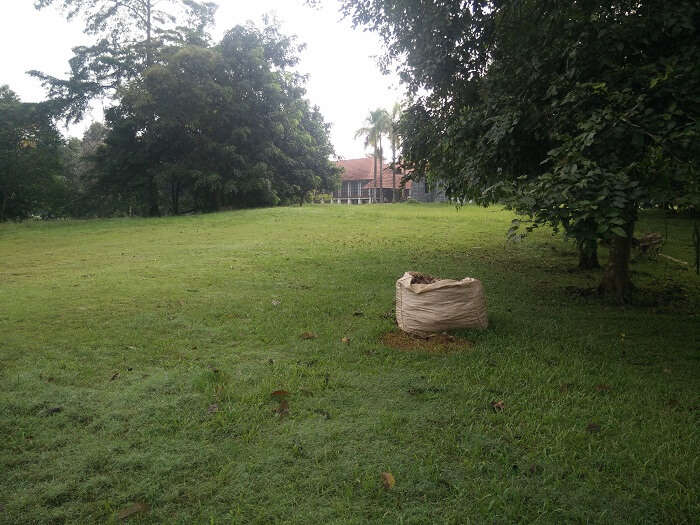 Paya Indah wetland