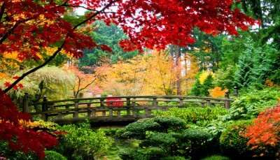 Beautiful Gardens In Japan