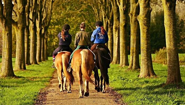 horse riding