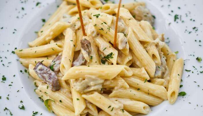 white sauce pasta in a plate