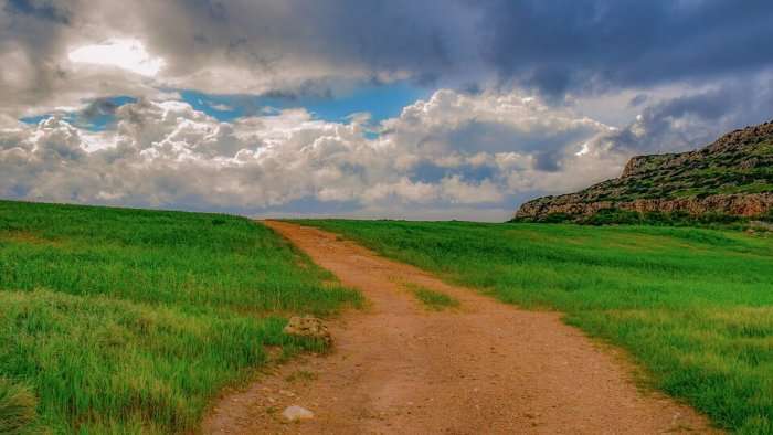 Campuhan ridge walk