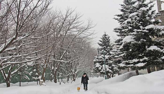 Weather In Calgary In Winter