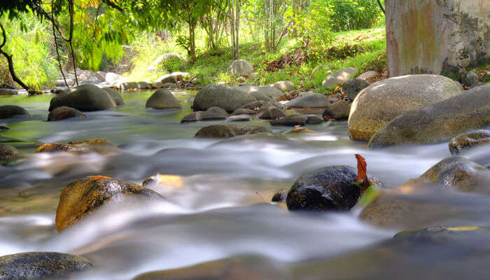 day trip janda baik