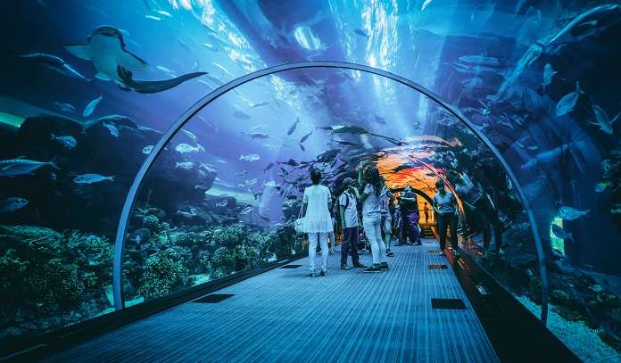  Sea World Aquarium