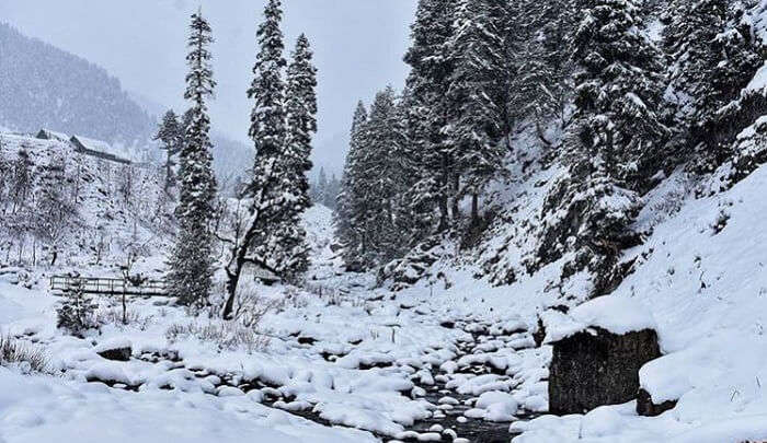 Aru valley in Kashmir