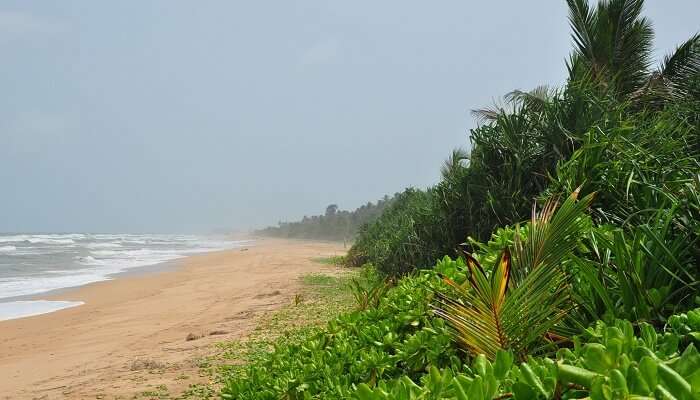 Bentota Beach