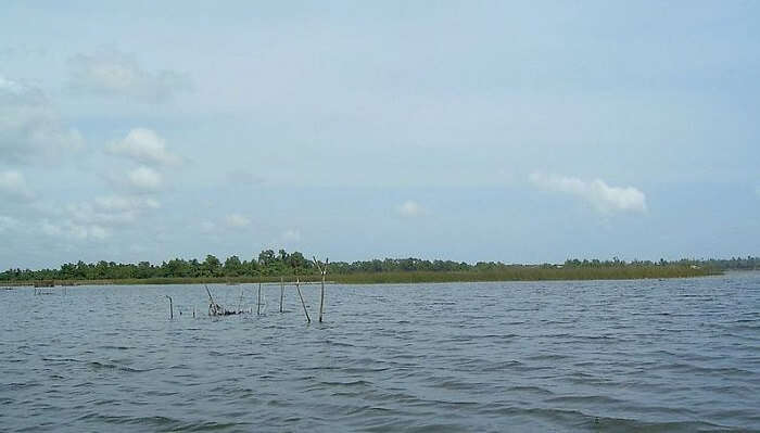 Bolgoda-Lake Sri lanka