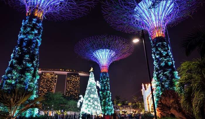 Took some pictures of the Christmas lights at Orchard road this year. : r/ singapore