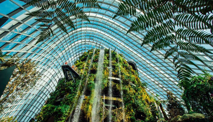 cloud forest waterfall