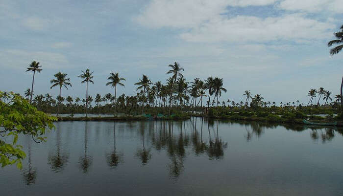 Explore Kumbalangi