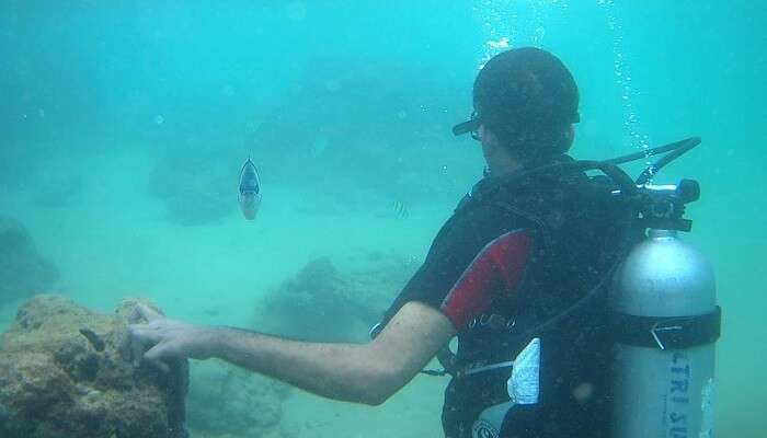 Scuba diving in Hikkaduwa