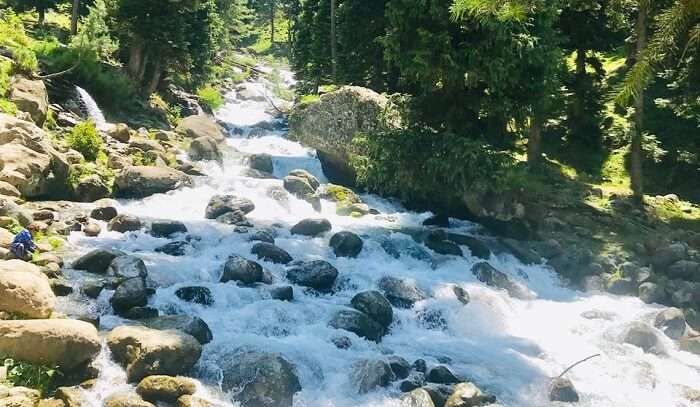 serene river view