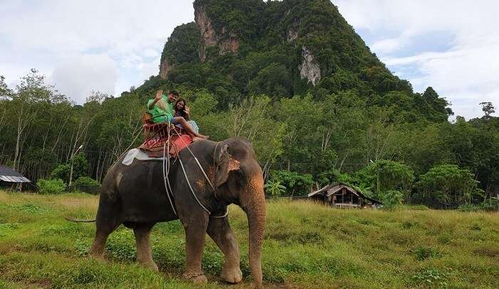 enjoyed the elephant ride