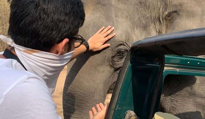 a mesmerizing experience with elephant