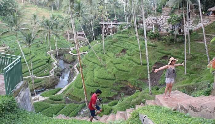 in ubud village