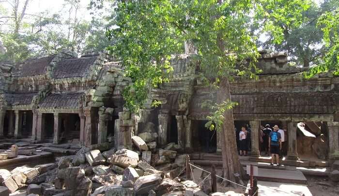 Ta Prohm Temple