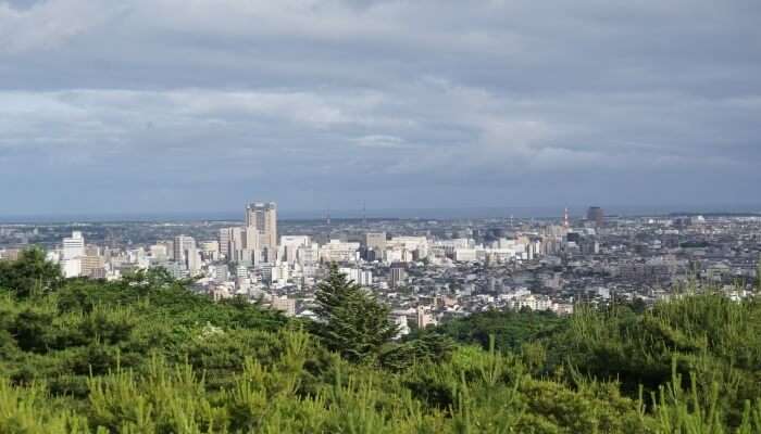 view of the city from bird's eye view