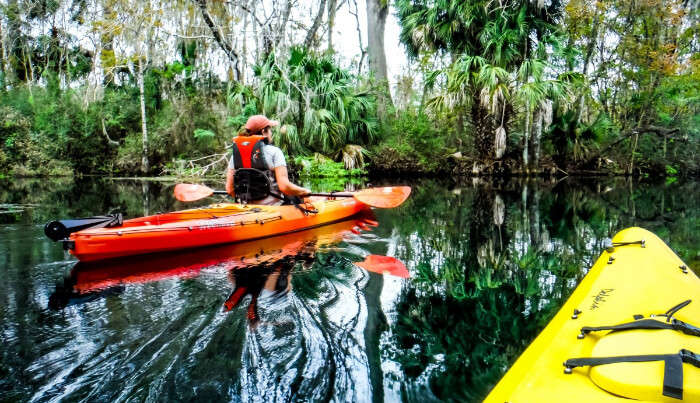 Kayaking At Vembanad Lake