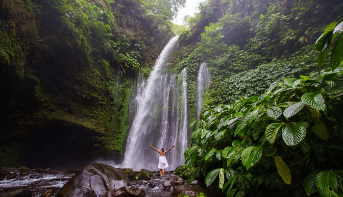 Lombok Waterfalls cover