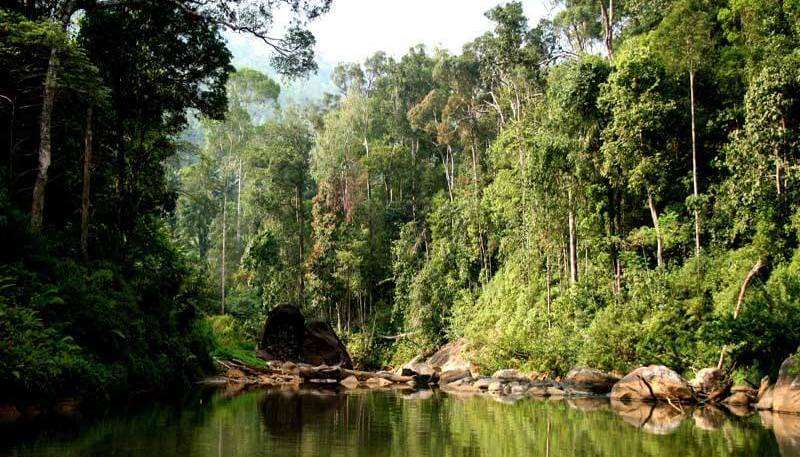 Makandawa Forest Reserve