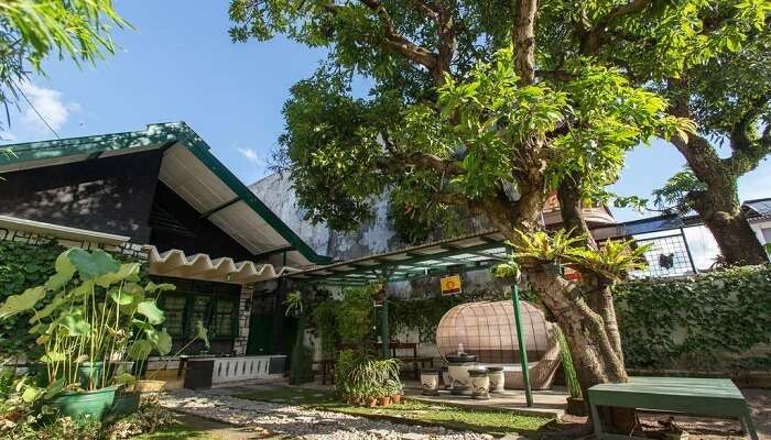 Mango Tree Dipudjo Homestay