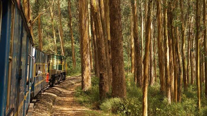 Nilgiri Mountain Toy Train