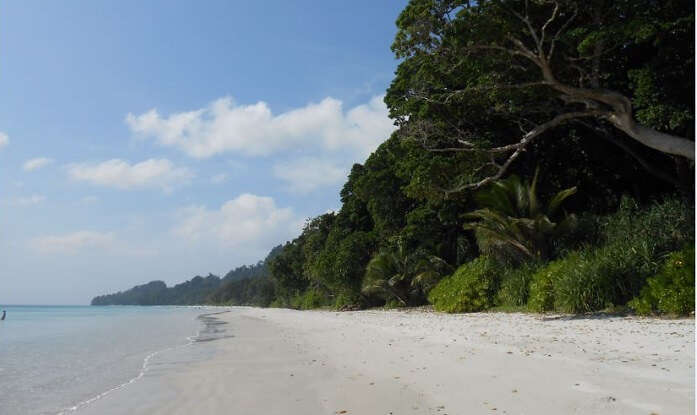 Radhanagar Beach