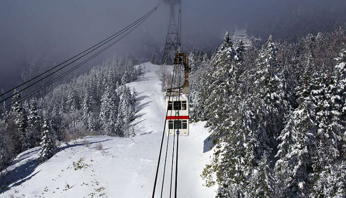 Ride The Thrilling Darjeeling Ropeway in Darjeeling in Winter