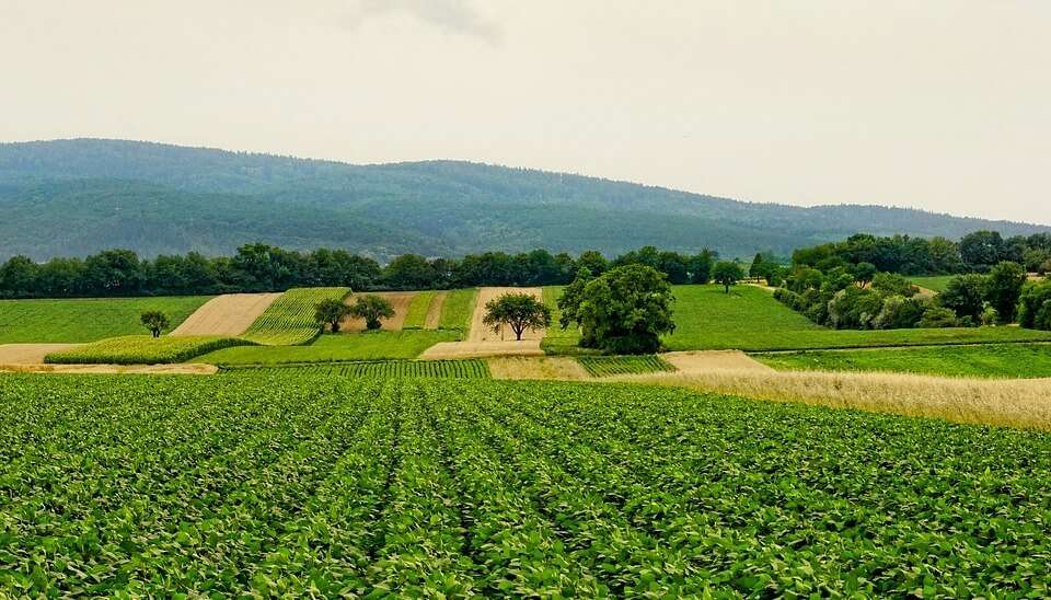 Shah Alam Agricultural Park