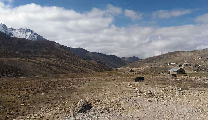 थंगू घाटी | सिक्किम की गुरुडोंगमार झील