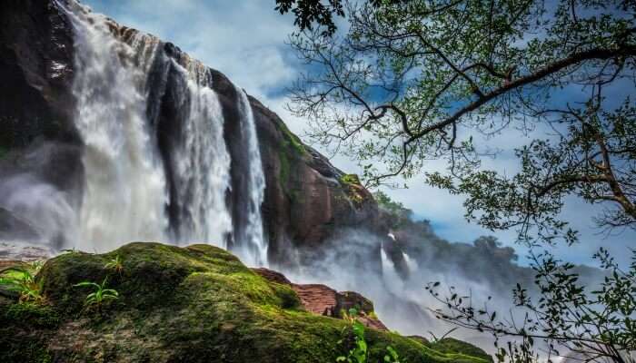 best tourist places in kerala near ernakulam