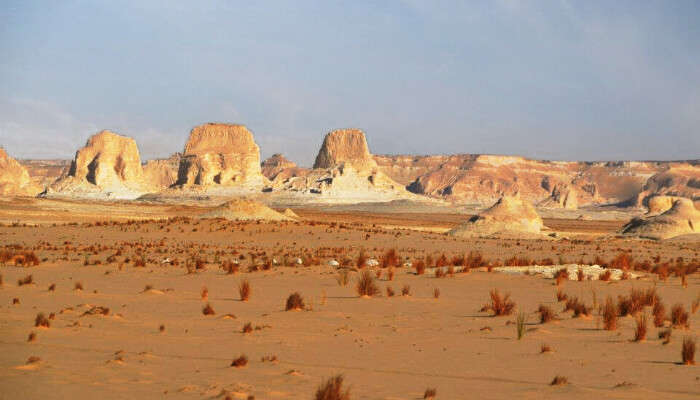 Visit Egypt's Western Desert