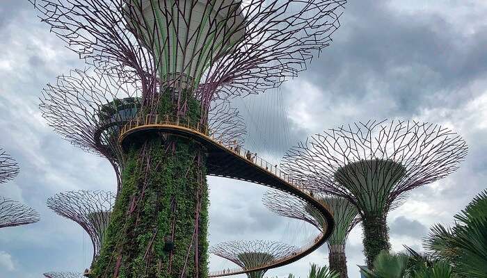 gardens by the bay