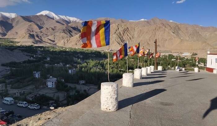 scenic around shanti stupa