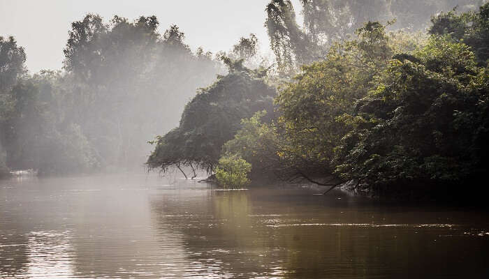 Bhitarkanika