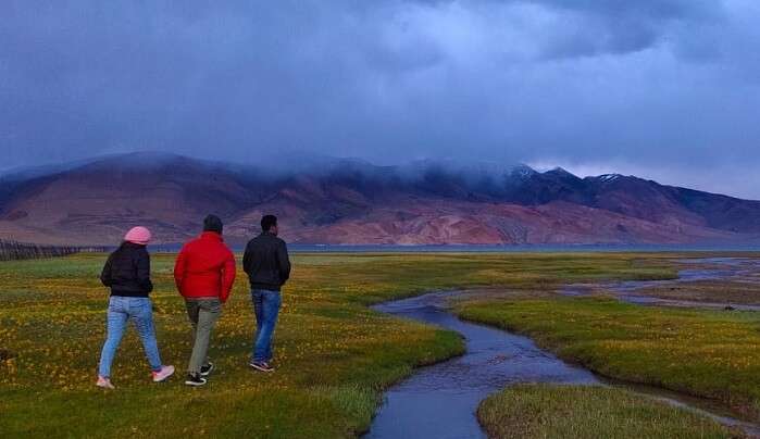 enjoyed our stay at Nubra valley