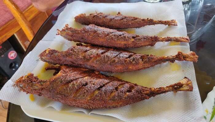 grilled fish served