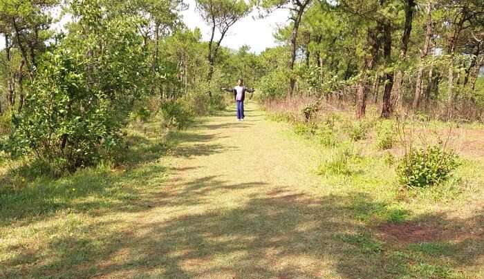 visited to the indo- bangladesh border