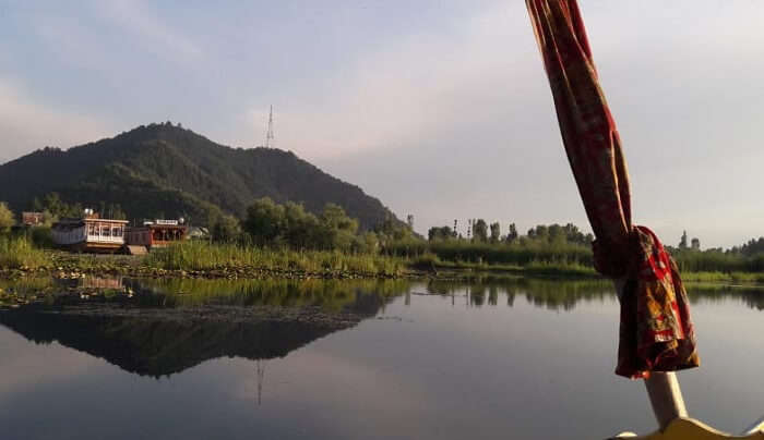 dal lake view