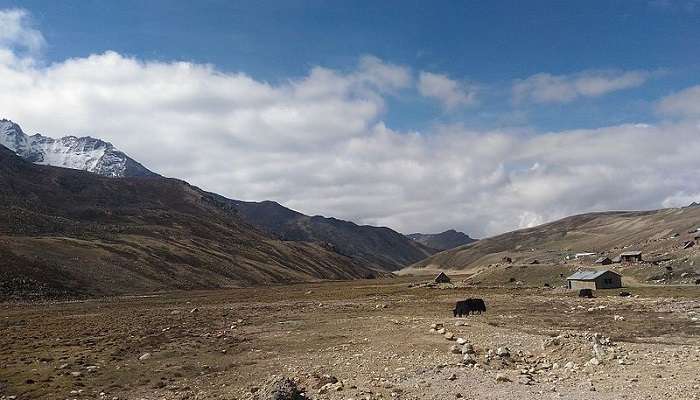 north sikkim valley