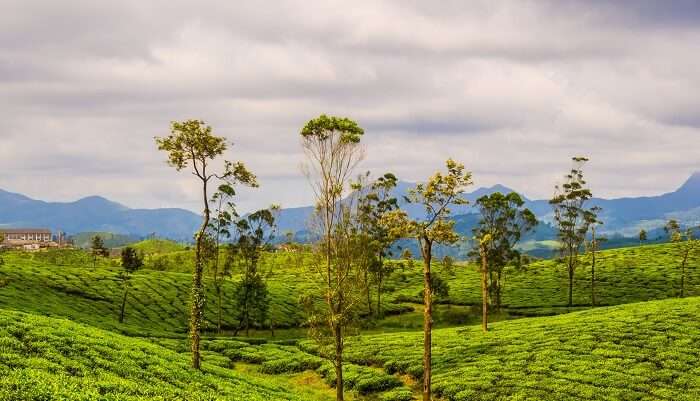 Valparai south india