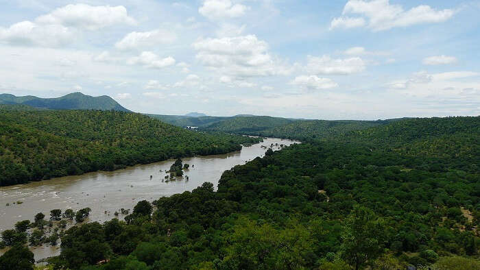 kaveri river