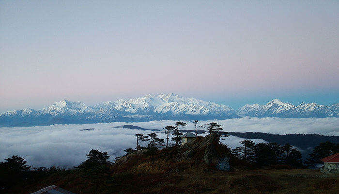 Sandakphu Trek