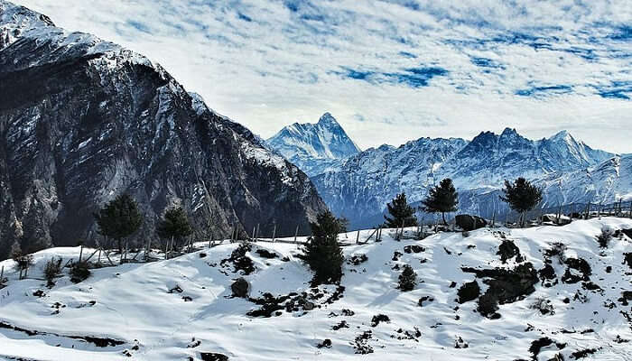 Auli is a winter wonderland that is dotted with apple orchards, pine trees, and snow-capped mountains